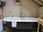 Bath Bath